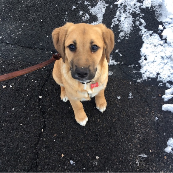 Meet your Posher, Wendy - Picture 6 of 8